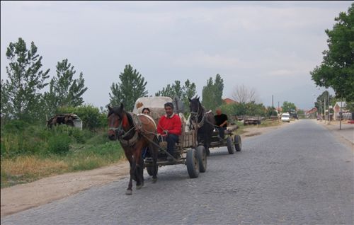 Vozitësi i qerres, i cili lëvizë pas qerres tjetër në rrugë (si në fotografinë), është i obliguar që ta mbajë distancën prej më së paku: